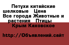 Петухи китайские шелковые › Цена ­ 1 000 - Все города Животные и растения » Птицы   . Крым,Каховское